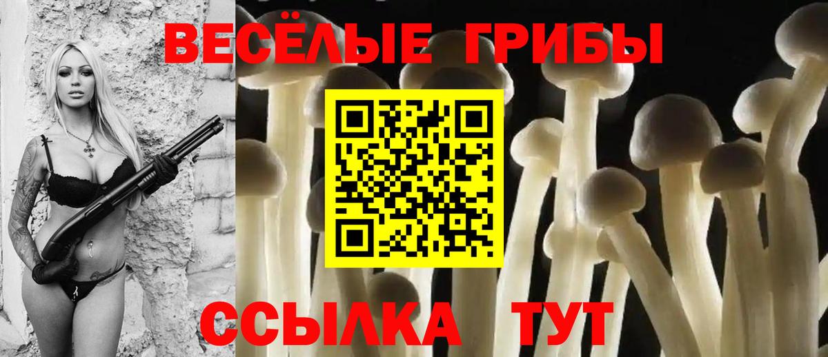 Галлюциногенные грибы мицелий Кандалакша