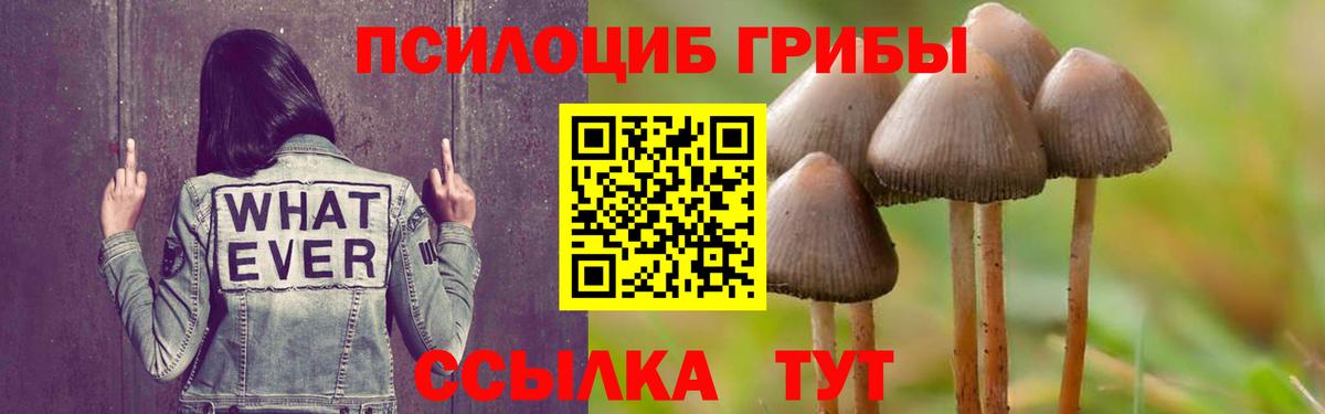 Галлюциногенные грибы мицелий  Вход с VPN  Кандалакша 
