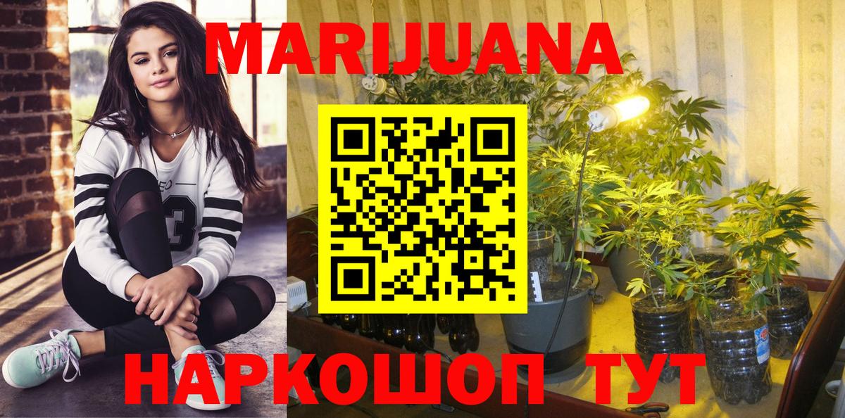 Шишки марихуана конопля Кандалакша